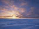 Arctic Ice Pack at Sunset, Canada.jpg