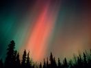 Aurora Borealis, Northern Lights, Alaska.jpg