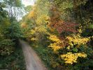 Autumn Roadway, Smoky Mountains National Park, Tennessee.jpg
