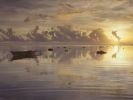 Daybreak at Cook Islands.jpg