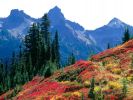Fall Spectrum in the Tatoosh Range, Mount Rainier National Park, Washington.jpg