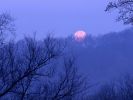 Full Moon Setting, Percy Warner State Park, Tennessee.jpg