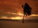 Key West Winds, Florida.jpg