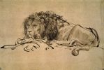 Lion, Rembrandt.jpg