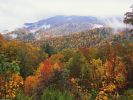 Lush Landscape, Appalachian Mountains, North Carolina.jpg