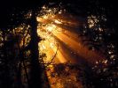 Mystic Sunbeams, Olympic National Park, Washington.jpg