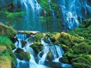 Proxy Falls, Willamete National Forest, Oregon.jpg