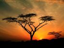 Saburu Hills Sunrise, Samburu Game Reservation, Kenya.jpg