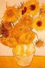 Sunflowers, Van Gogh, 1888.jpg
