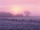 Sunrise Over Frosty Farmland, Norfolk, England.jpg