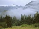 Temperate Rain Forest, British Columbia, Canada.jpg