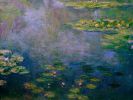 Water Lilies, Claude Monet.jpg